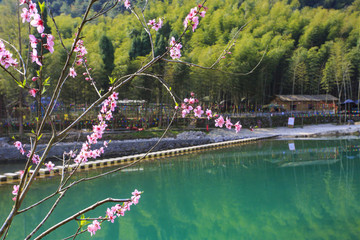 浙江,臺州,臨海,尤溪鎮(zhèn),江南大峽谷,上漲村,古道,古村