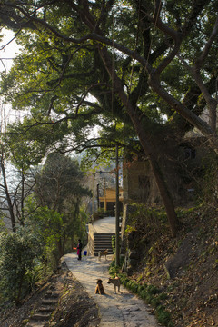 浙江,臺州,臨海,江南長城,臺州府城墻,古建筑,古長城,古城,塔,龍興寺