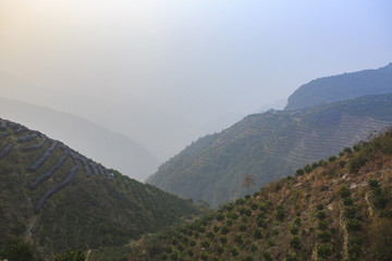 浙江,臺(tái)州,臨海,涌泉,南屏山,桔園,山村,村莊