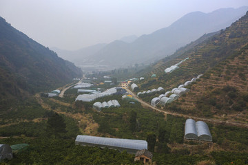 浙江,臺州,臨海,涌泉,南屏山,桔園,山村,村莊