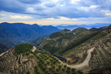 浙江,臺州,臨海,涌泉,南屏山,桔園,山村,村莊
