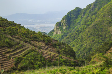 浙江,臺州,臨海,涌泉,南屏山,桔園,山村,村莊