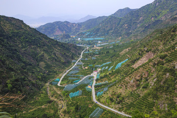浙江,臺(tái)州,臨海,涌泉,南屏山,桔園,山村,村莊