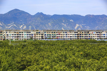 浙江,臺(tái)州,臨海,涌泉,南屏山,桔園,山村,村莊