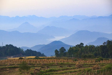 浙江,臺州,仙居,楊豐山,山村,田野,稻田,秋色,豐收