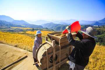 浙江,臺(tái)州,仙居,楊豐山,山村,田野,稻田,秋色,豐收
