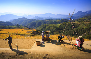 浙江,臺州,仙居,楊豐山,山村,田野,稻田,秋色,豐收