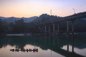 浙江,臺(tái)州,仙居,永安溪,小溪,流水