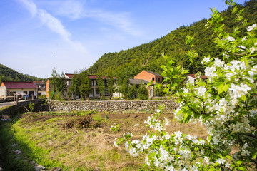 浙江,臺州,天臺縣,龍溪鄉(xiāng),鄉(xiāng)村,山村,老房子,田園