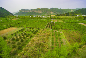 浙江,臺州,天臺縣,龍溪鄉(xiāng),鄉(xiāng)村,航拍,俯瞰,田園,春色,小溪,綠色,山村