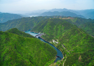 浙江,臺(tái)州,天臺(tái)縣,龍溪鄉(xiāng),鄉(xiāng)村,茶園,春茶,山坡