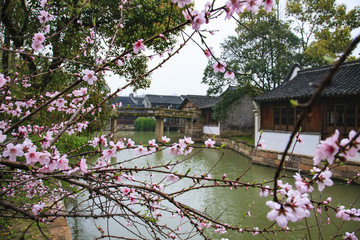 浙江,嘉興,桐鄉(xiāng),烏鎮(zhèn),西柵,白蓮塔,古橋,江南,水鄉(xiāng),古建筑,傳統(tǒng),民俗