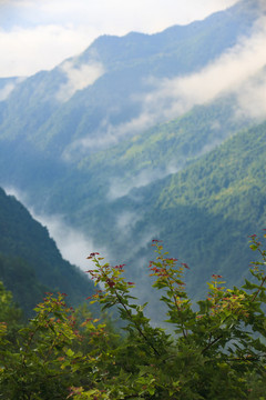 浙江,杭州,淳安,千島湖開元度假村,酒店