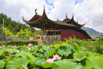 浙江,杭州,淳安,千島湖,湖泊,陰雨,倒影,寧靜