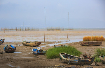 浙江,溫州,洞頭,海島,海洋