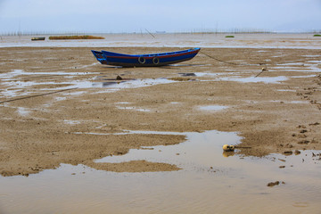 浙江,溫州,洞頭,海島,海洋