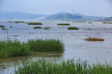 浙江,溫州,洞頭,海島,海洋