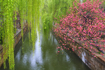 浙江,湖州,南潯古鎮(zhèn),古建筑,江南,水鄉(xiāng),船,民居,雨,清明,河道