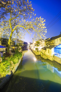 浙江,湖州,德清,新市古鎮(zhèn),老街,老房子,古建筑,水鄉(xiāng),江南