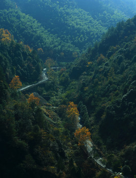 山村風(fēng)光