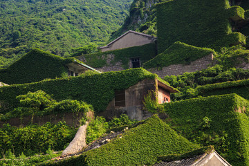 浙江,舟山,嵊泗,嵊山島無(wú)人村,漁村,遺棄,爬山虎,綠色,夢(mèng)幻,童話,侵蝕,荒蕪,時(shí)光