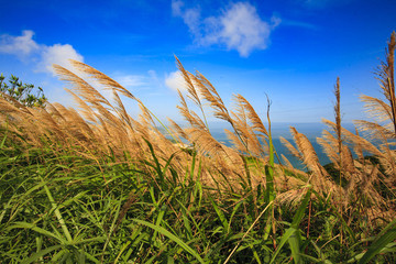 浙江,舟山,嵊泗,枸杞島,海島,海灣,船,碼頭,沙灘,礁石,海浪,漁村