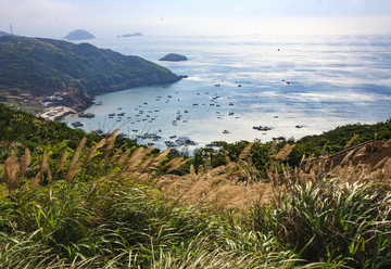 浙江,舟山,嵊泗,枸杞島,海島,海灣,船,碼頭,沙灘,礁石,海浪,漁村