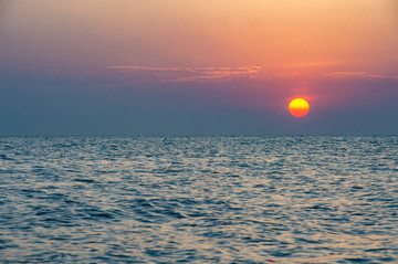 青海湖,馬,水花,湖水