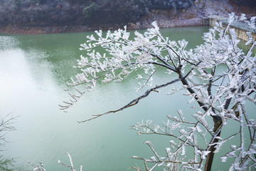 飛機(jī),白云,機(jī)翼,天空,藍(lán)天,飛翔
