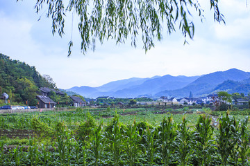 東錢湖,旅游度假區(qū)