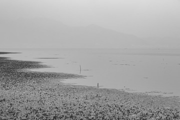 東錢湖,旅游度假區(qū)