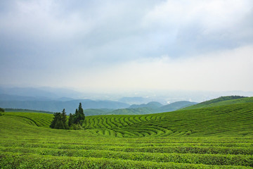 東錢(qián)湖,旅游度假區(qū)
