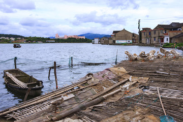 東錢湖,旅游度假區(qū)