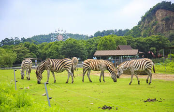 東錢湖,旅游度假區(qū)