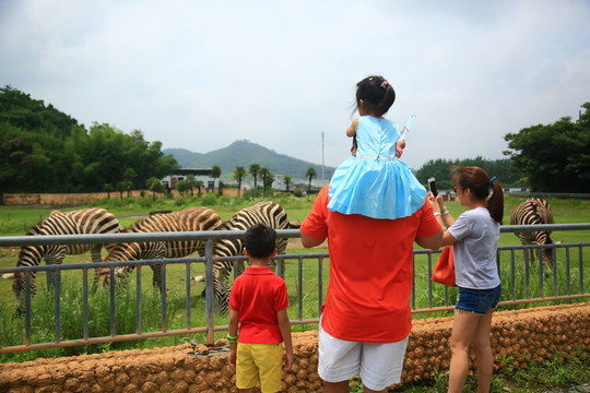 動(dòng)物園