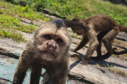 動物園