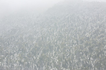 東錢(qián)湖,旅游度假區(qū)