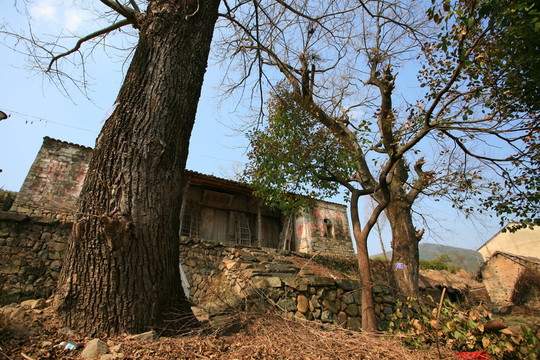 農(nóng)村