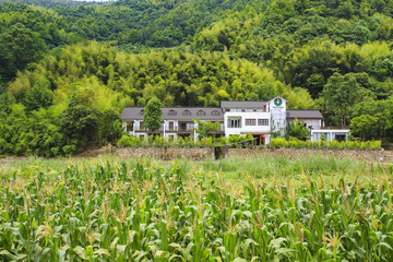 奉化區(qū)