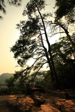 旅游區(qū)
