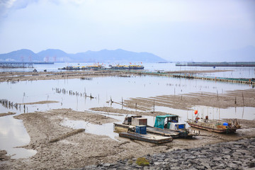 奉化區(qū)