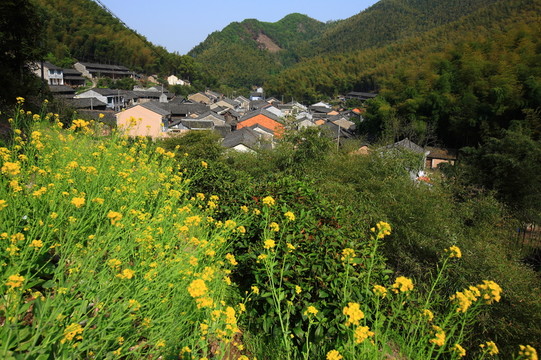 農村