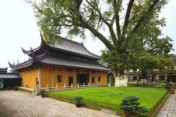 奉化區(qū)