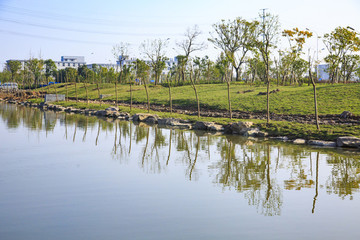 寧波,鄉(xiāng)村,農(nóng)村,城鎮(zhèn)