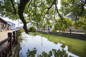 寧波,鄉(xiāng)村,農村,城鎮(zhèn)