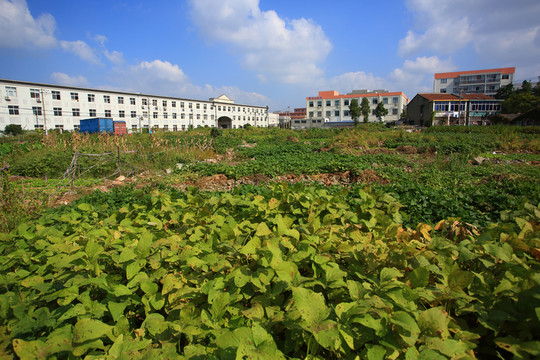 城鎮(zhèn)風貌