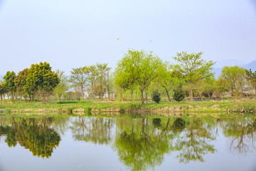 寧波,鄉(xiāng)村,農(nóng)村,城鎮(zhèn)