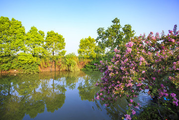 寧波,鄉(xiāng)村,農(nóng)村,城鎮(zhèn)