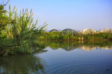 寧波,鄉(xiāng)村,農(nóng)村,城鎮(zhèn)