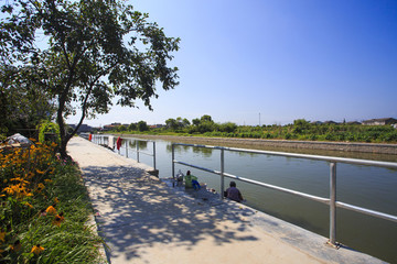 寧波,鄉(xiāng)村,農(nóng)村,城鎮(zhèn)